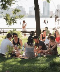 picnic